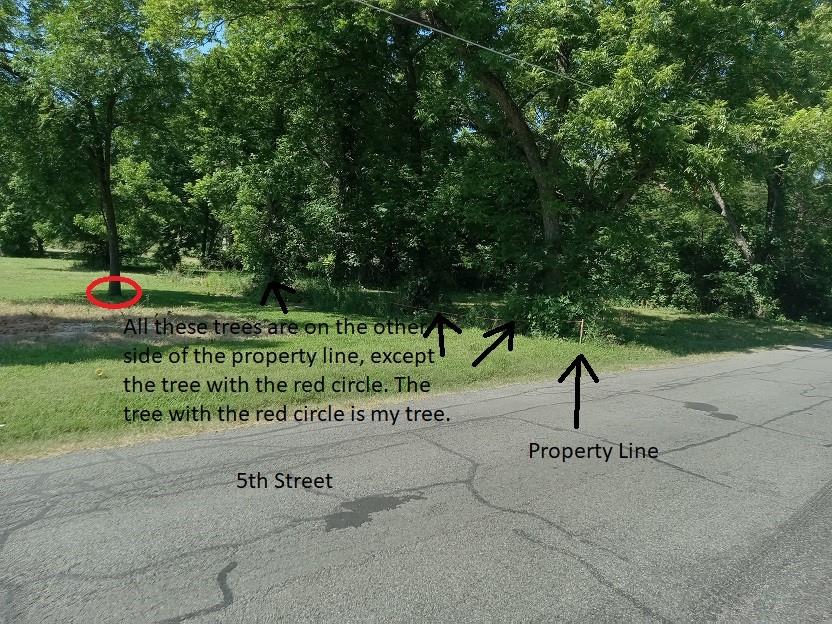 207 South 5th Street Bonham, TX 75418 - Photo 3 of 14 a view of a park with trees and plants