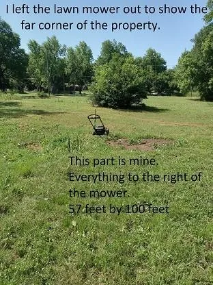 a view of a field with a tree in it