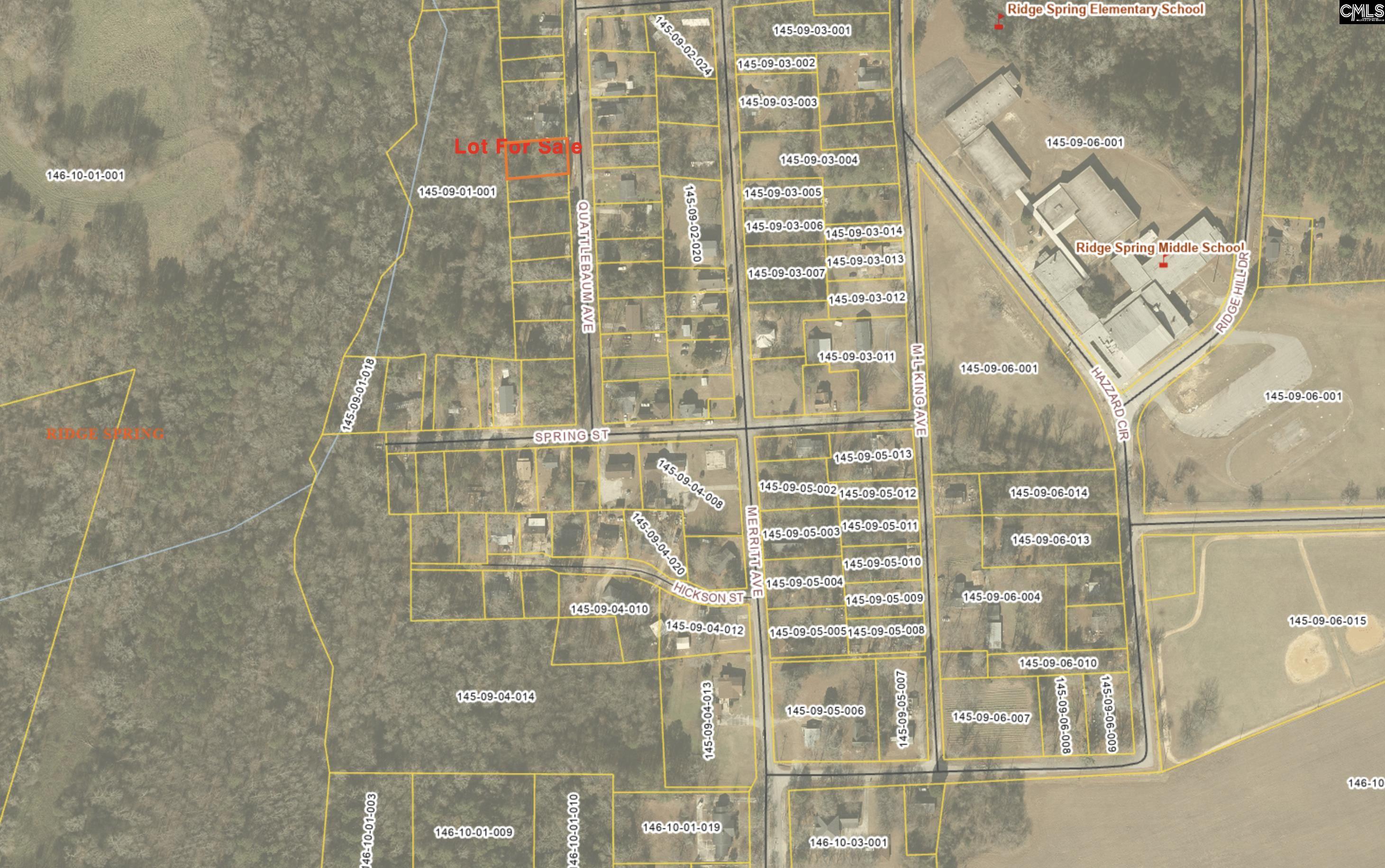 0 Quattlebaum Avenue Ridge Spring, SC 29129 - Photo 9 of 9