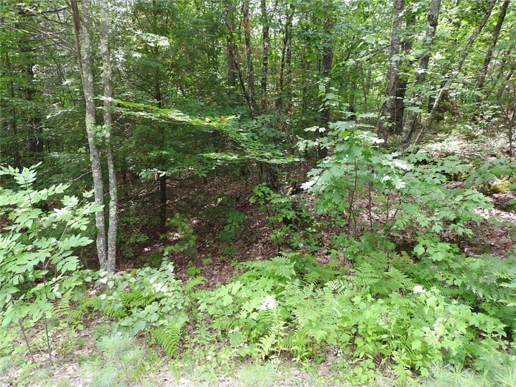 0 Rocky Dun Road West Baldwin, ME 04091 - Photo 3 of 3 Photo