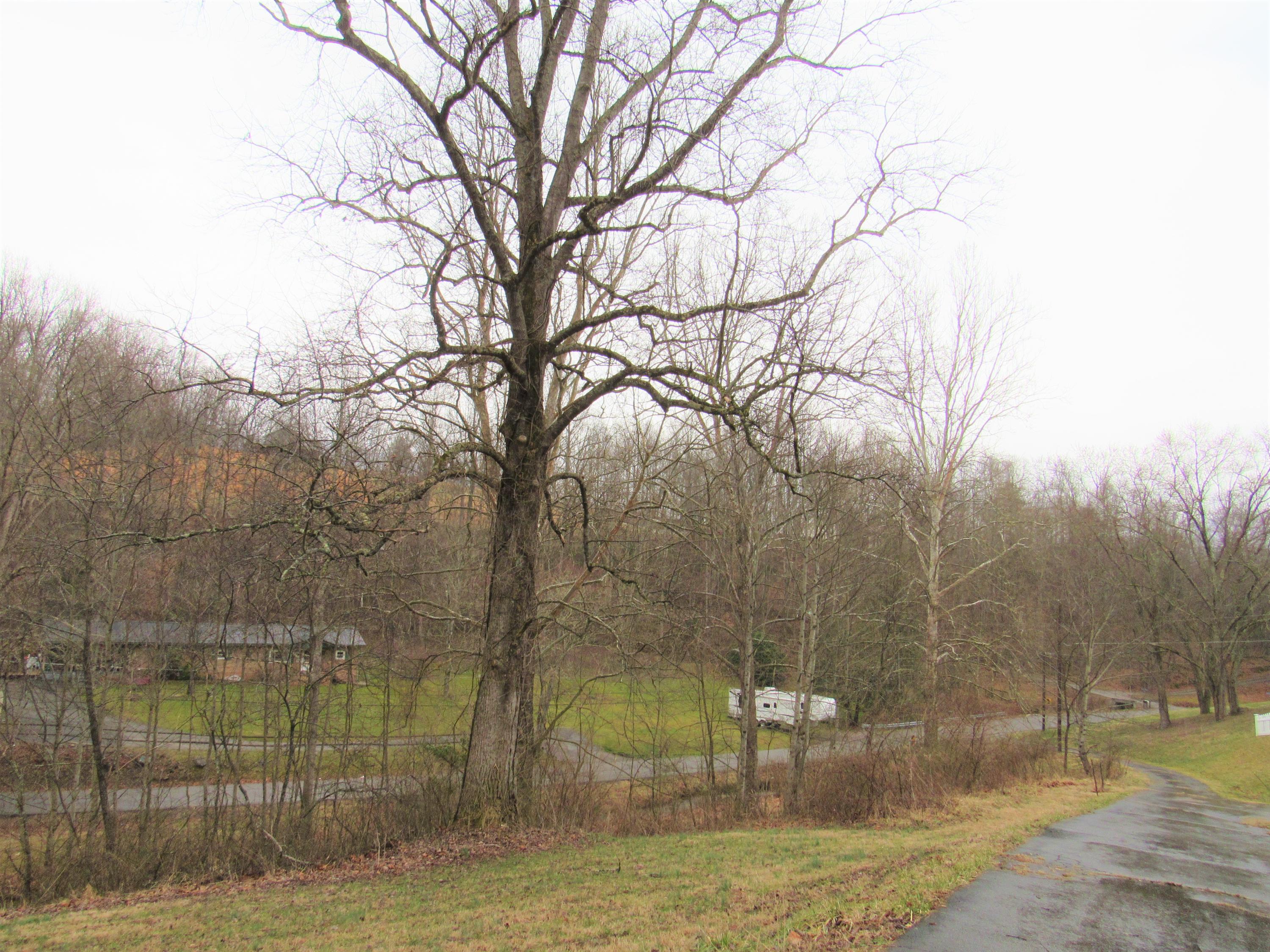 4913 Back Valley Road Big Stone Gap, VA 24219 - Photo 11 of 24 IMG_3576 (2)
