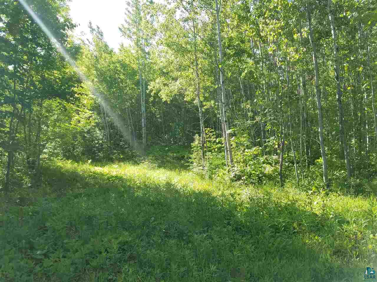 29191 Holt Road Bayfield, WI 54814 - Photo 3 of 24