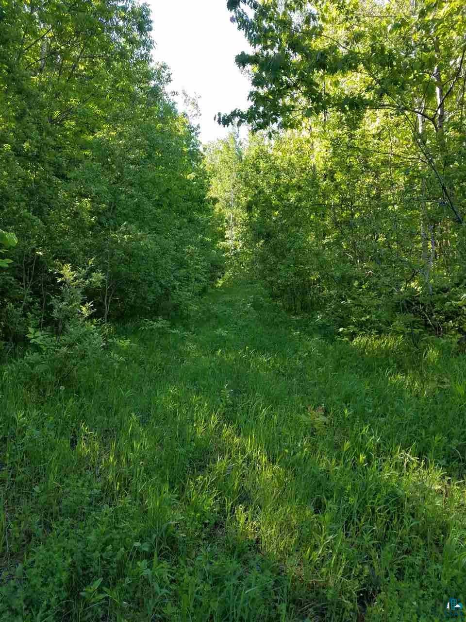 29191 Holt Road Bayfield, WI 54814 - Photo 4 of 24