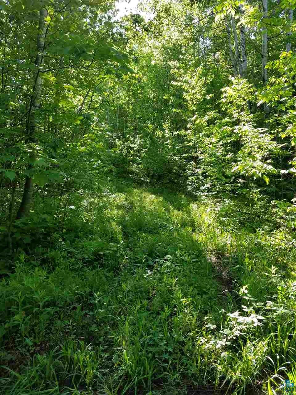 29191 Holt Road Bayfield, WI 54814 - Photo 10 of 24