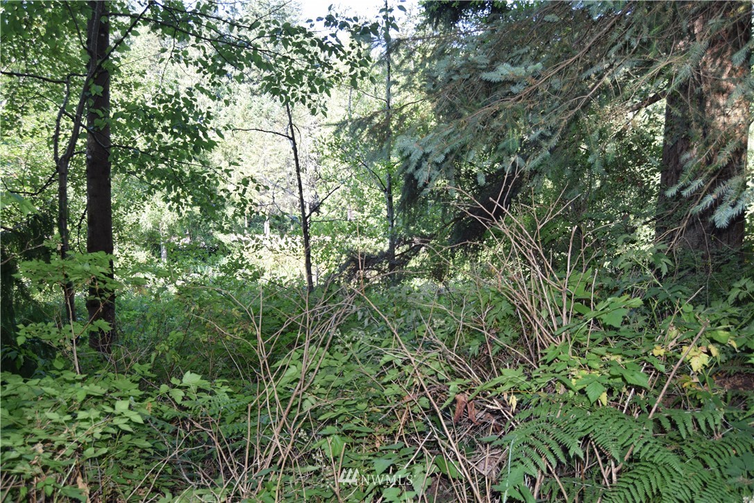 4900 Weber Road Snohomish, WA 98290 - Photo 4 of 9