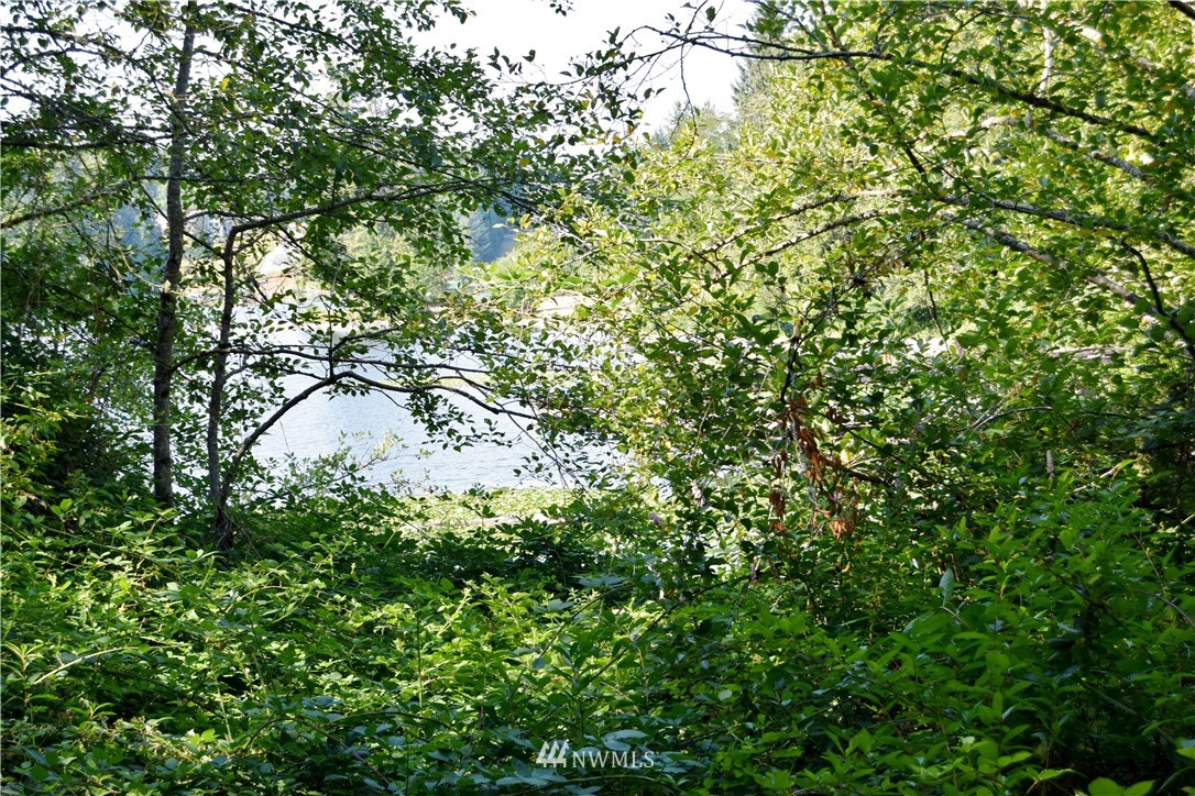 4900 Weber Road Snohomish, WA 98290 - Photo 5 of 9