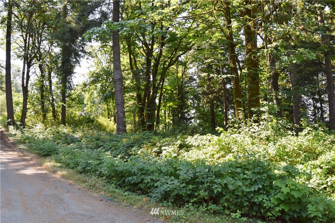 4900 Weber Road Snohomish, WA 98290 - Photo 9 of 9