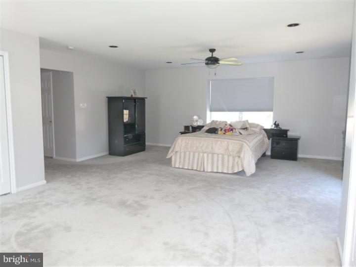 175 Rocksville Road Holland, PA 18966 - Photo 14 of 21 Master Bedroom