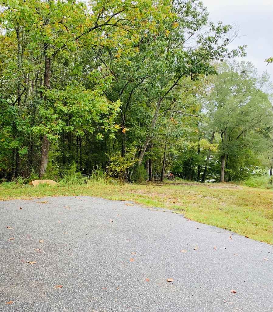 470 Fellowship New Cut Road Waterloo, SC 29384 - Photo 38 of 39