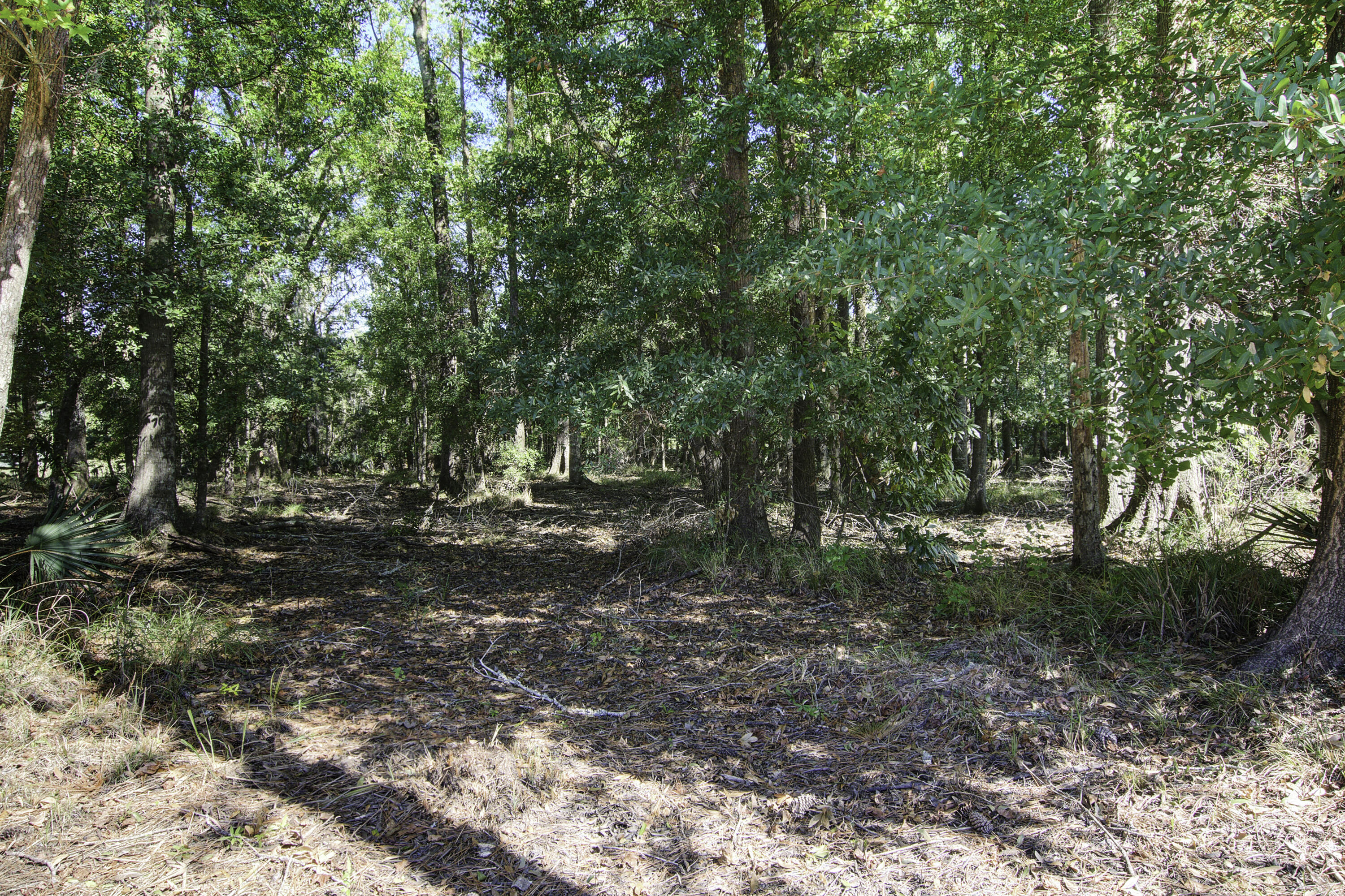 726 Byrd Garden Road Charleston, SC 29414 - Photo 44 of 60 726 Byrd Garden Road