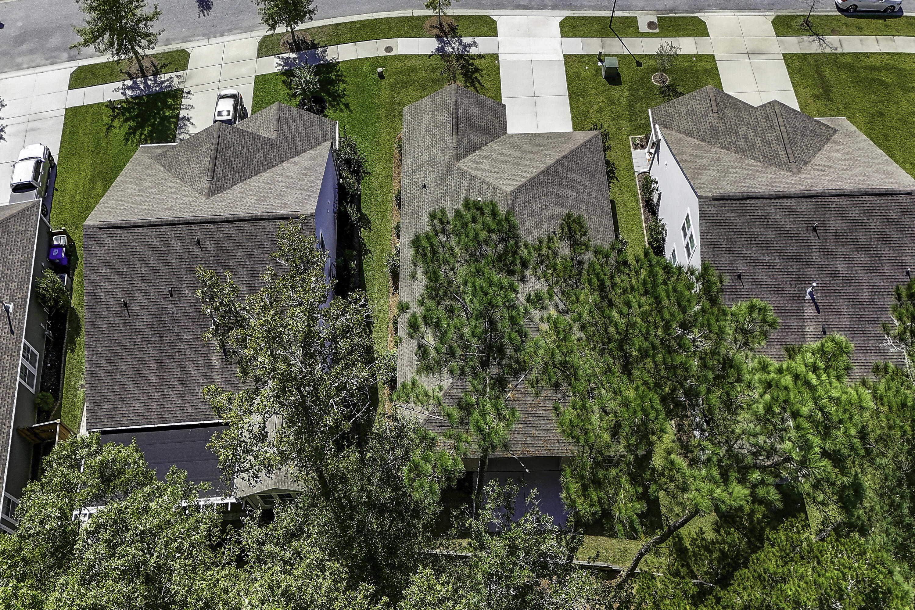 726 Byrd Garden Road Charleston, SC 29414 - Photo 53 of 60 726 Byrd Garden Road
