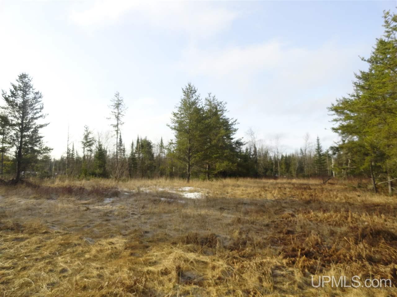 116-acres 116-acres Co Road Negaunee, MI 49866 - Photo 2 of 37