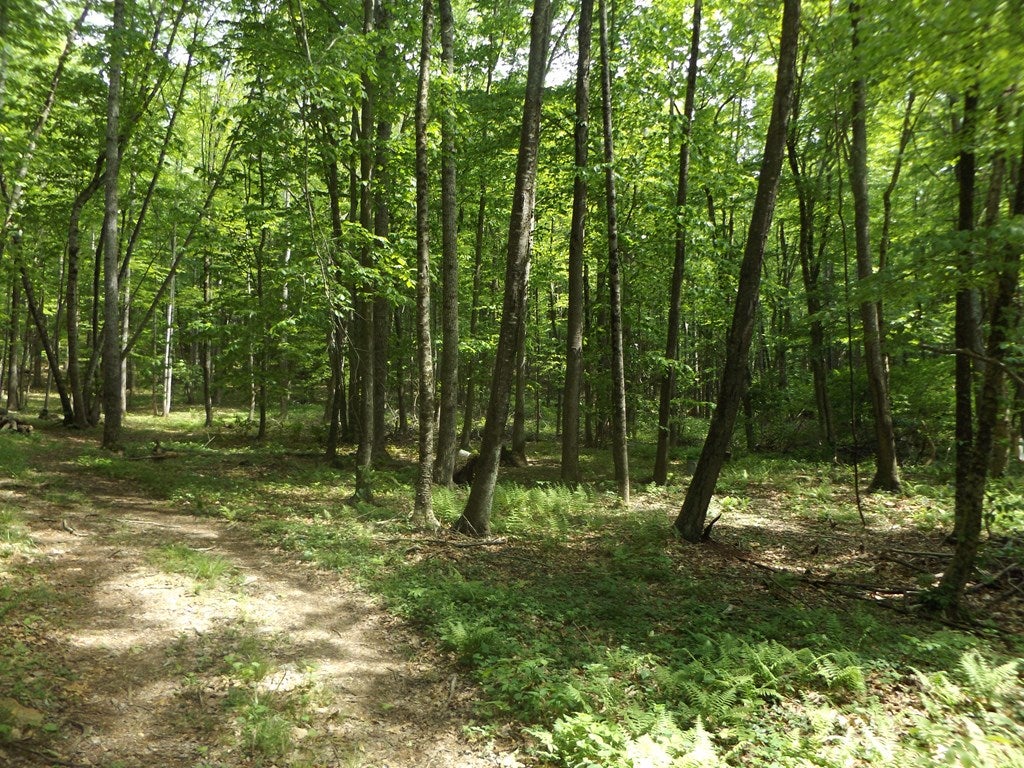 402 Dickerson Road, Unit 1 Willis, VA 24380 - Photo 17 of 31 Gallery Image 17