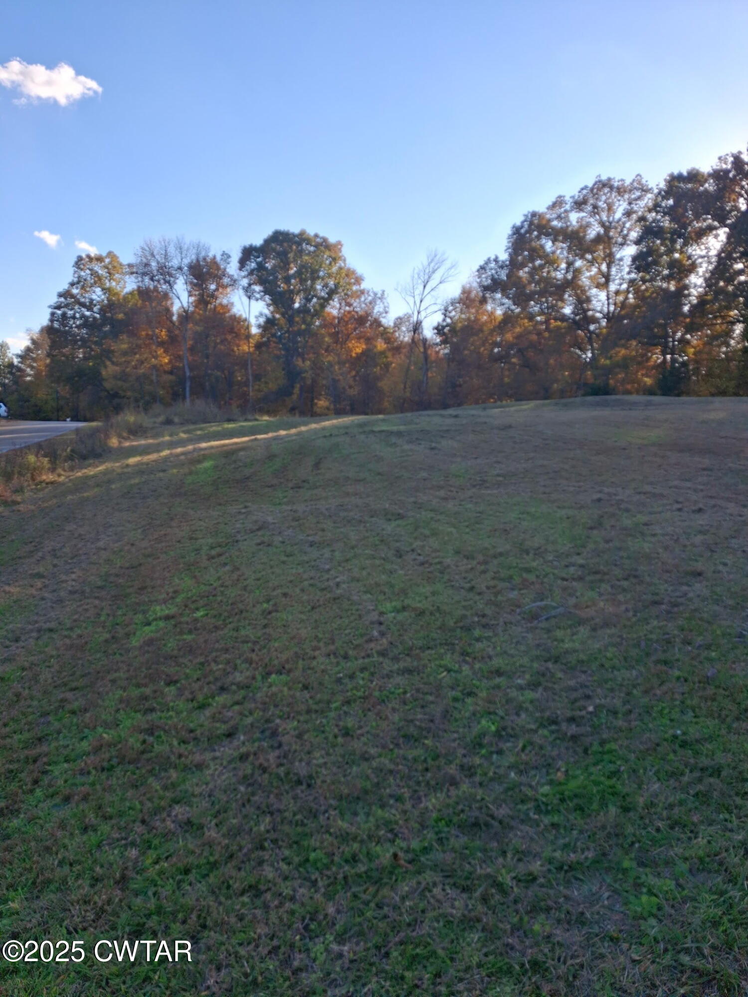 a view of a field of grass and trees