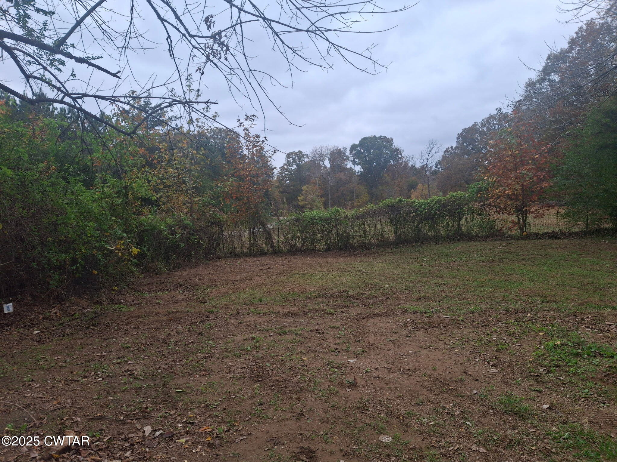 555 Center Point Road South Reagan, TN 38368 - Photo 3 of 17 a view of a field with trees in the background