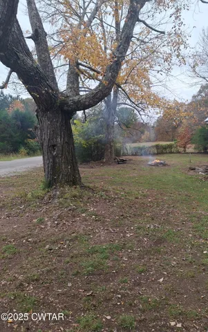 a view of a yard with a tree