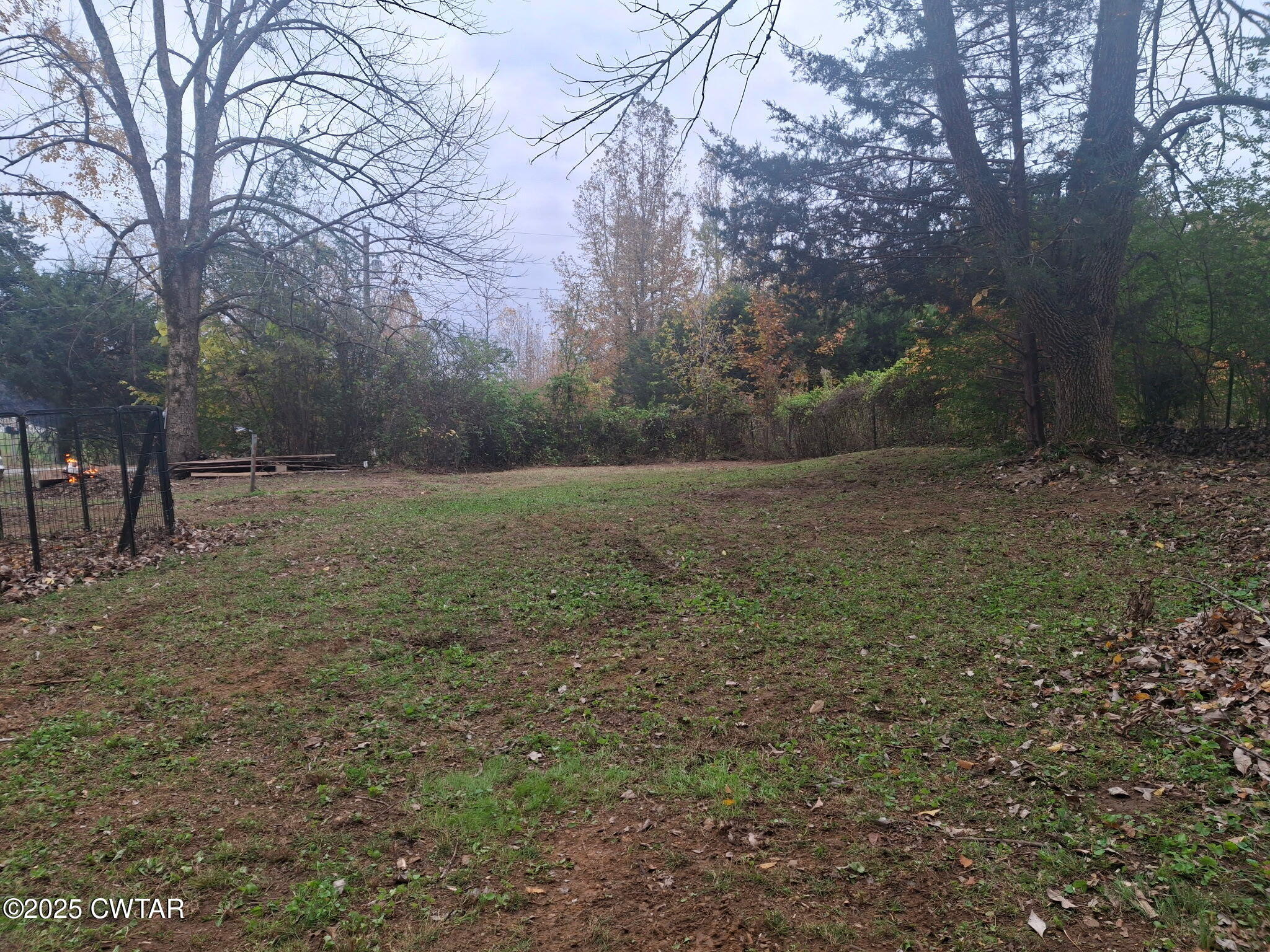 555 Center Point Road South Reagan, TN 38368 - Photo 5 of 17 a view of outdoor space with trees