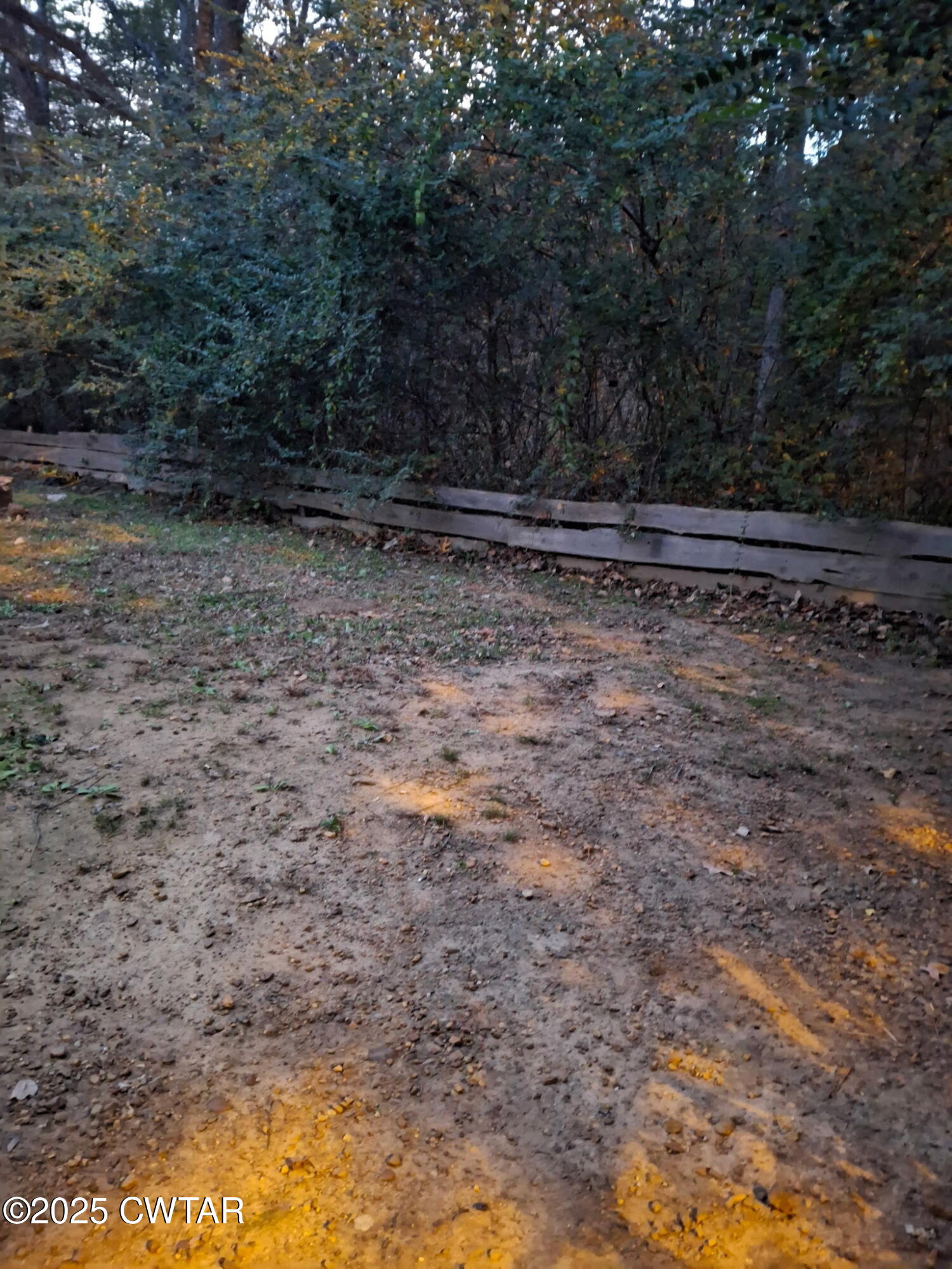 555 Center Point Road South Reagan, TN 38368 - Photo 7 of 17 a view of outdoor space with trees