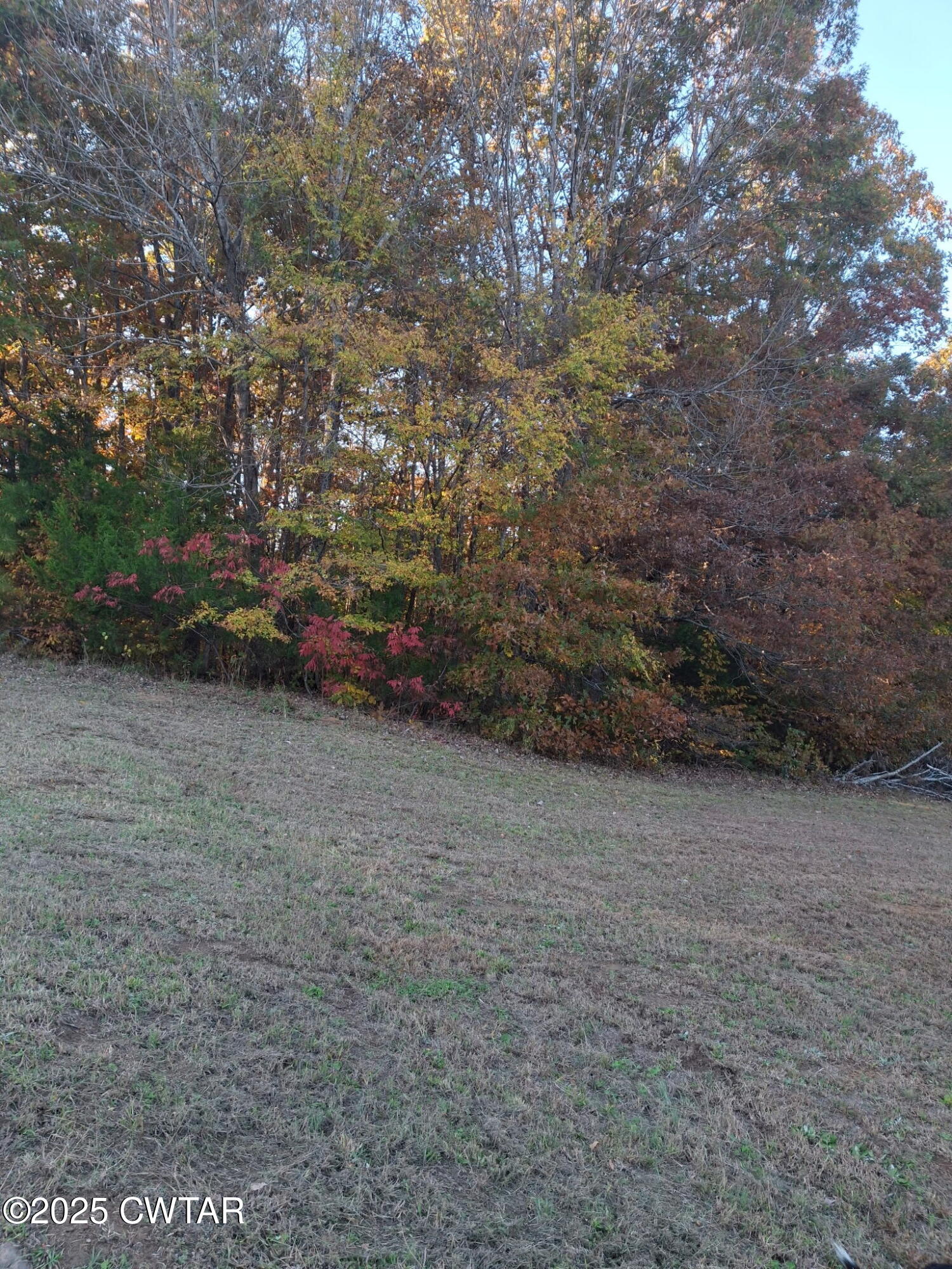 555 Center Point Road South Reagan, TN 38368 - Photo 8 of 17 a view of outdoor space and yard