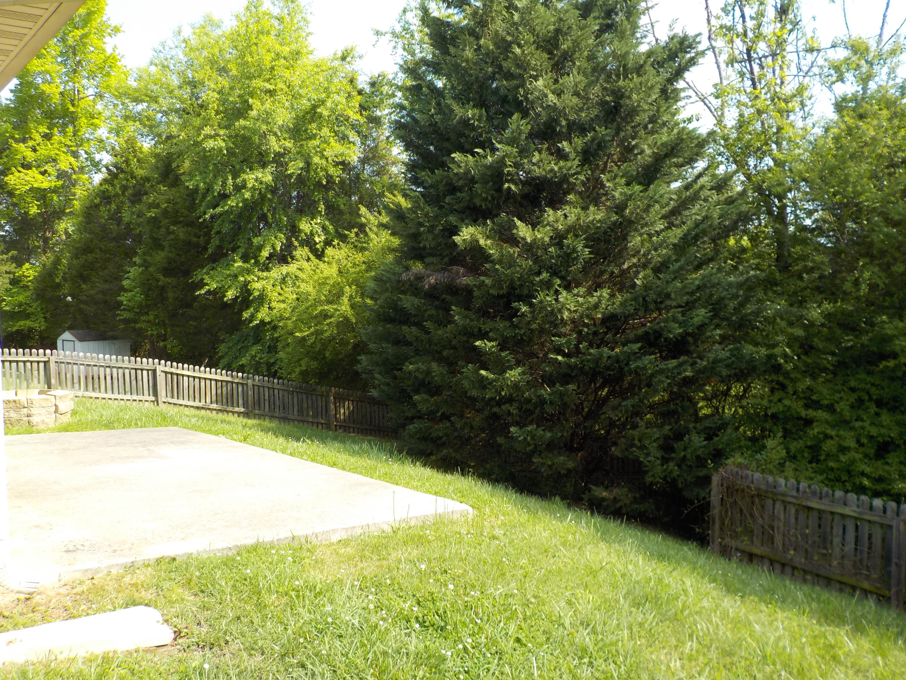 7612 Prairie Road Corryton, TN 37721 - Photo 11 of 14 DSCN0924