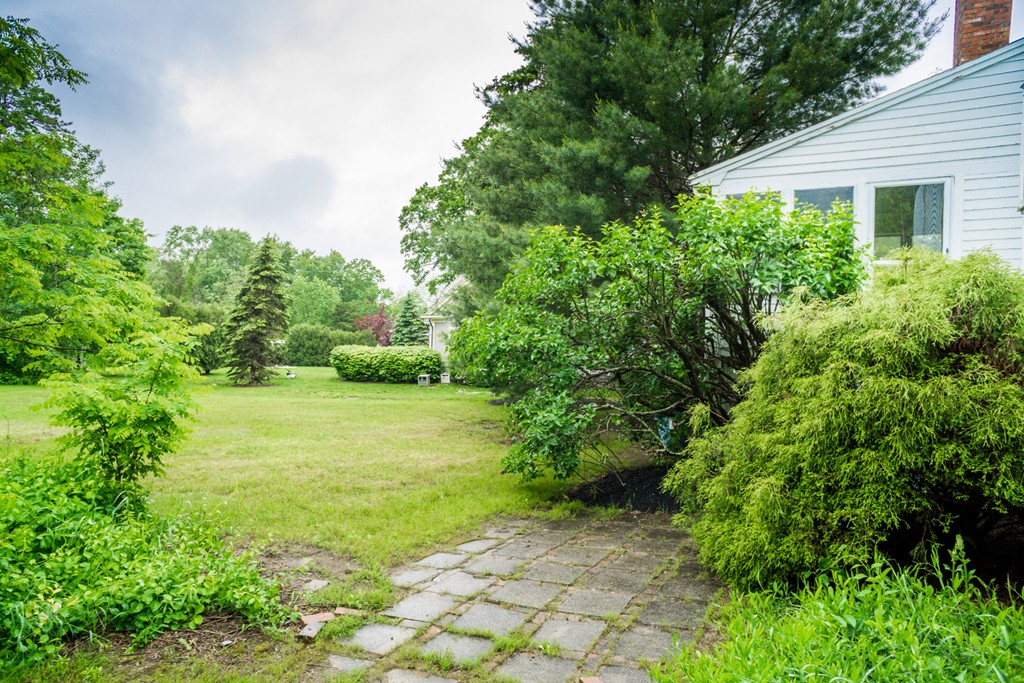 500 Lexington Road Concord, MA 01742 - Photo 14 of 14 a view of a back yard with plants and large trees