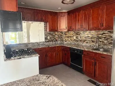 a kitchen with stainless steel appliances granite countertop wooden cabinets a sink and dishwasher