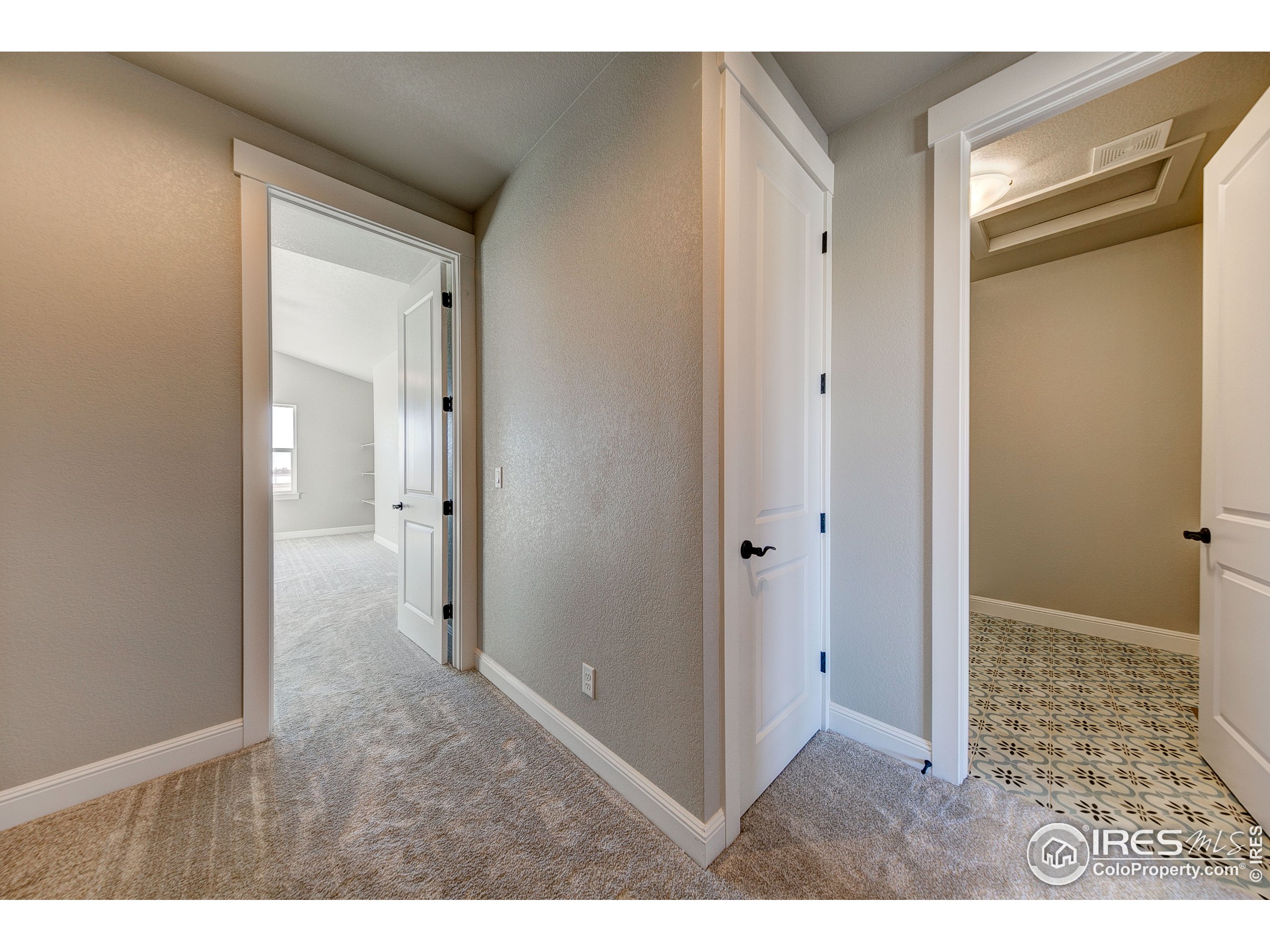 2690 Prairie Flax Street Berthoud, CO 80513 - Photo 11 of 22