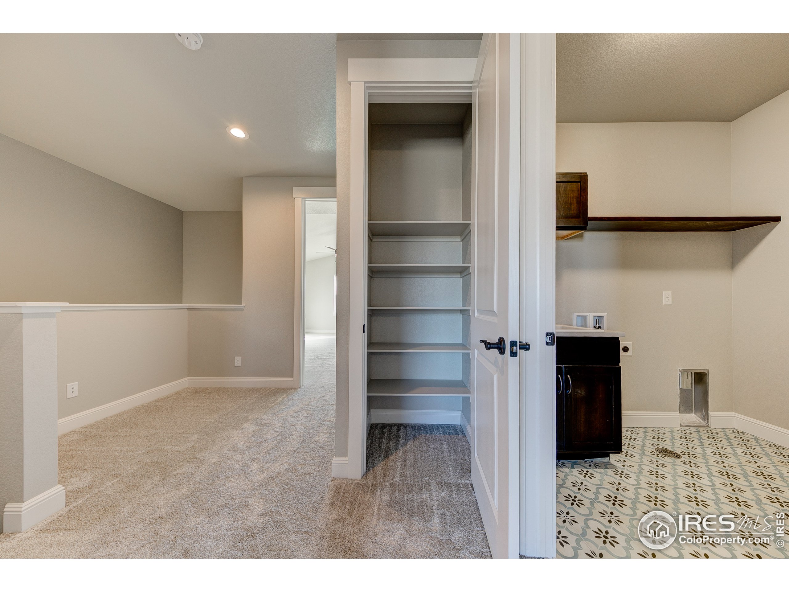 2690 Prairie Flax Street Berthoud, CO 80513 - Photo 13 of 22