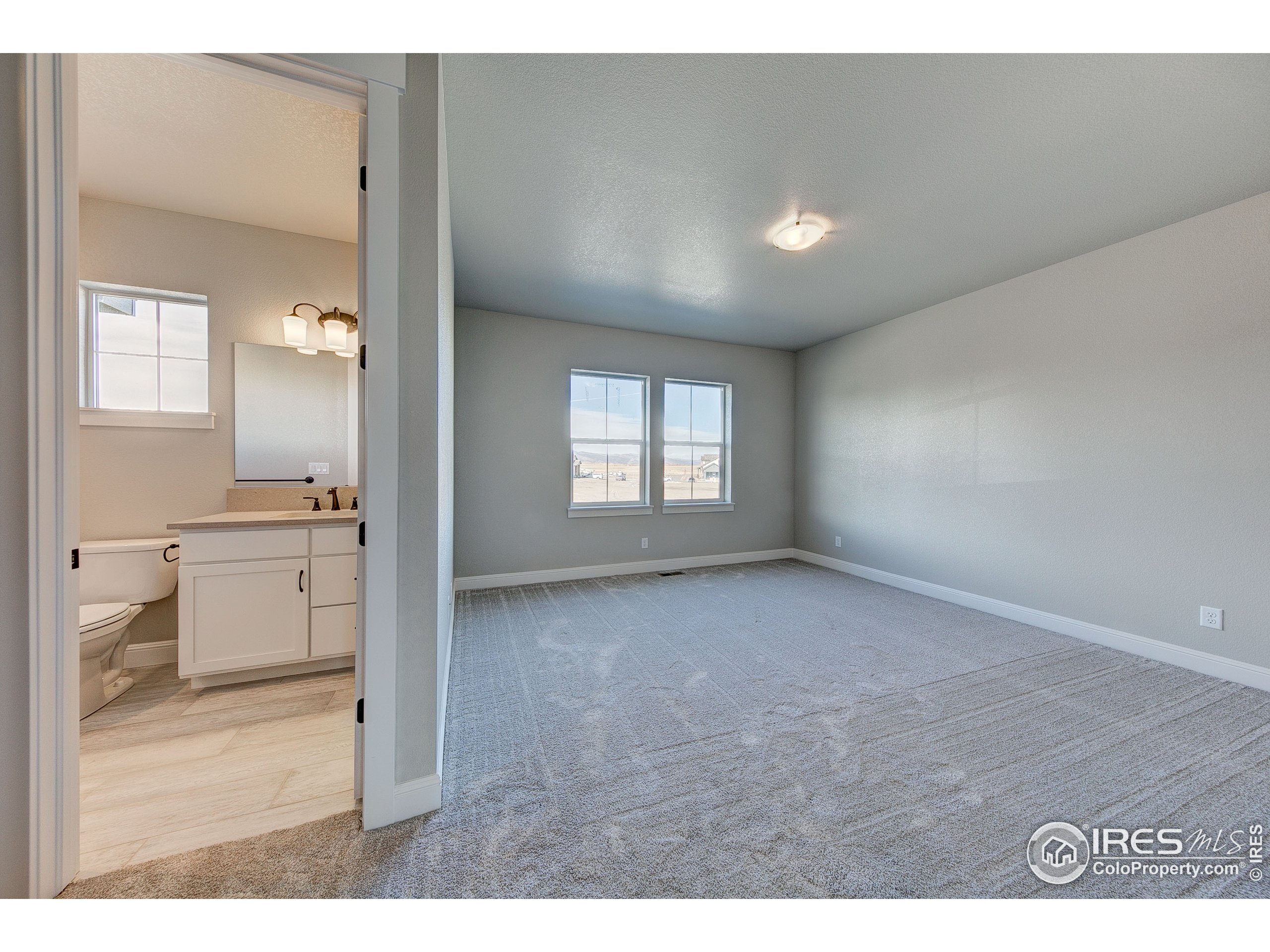 2690 Prairie Flax Street Berthoud, CO 80513 - Photo 19 of 22