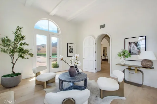 a living room with furniture a lamp and a potted plant