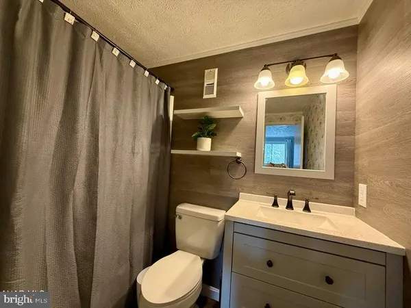 a bathroom with a sink a toilet a mirror and shower curtain