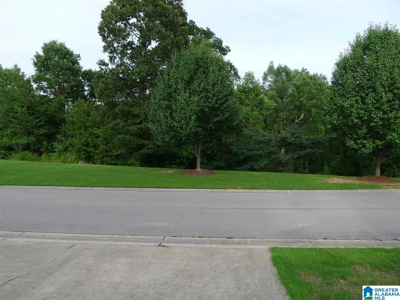 185 Springdale Road Mount Olive, AL 35117 - Photo 37 of 44