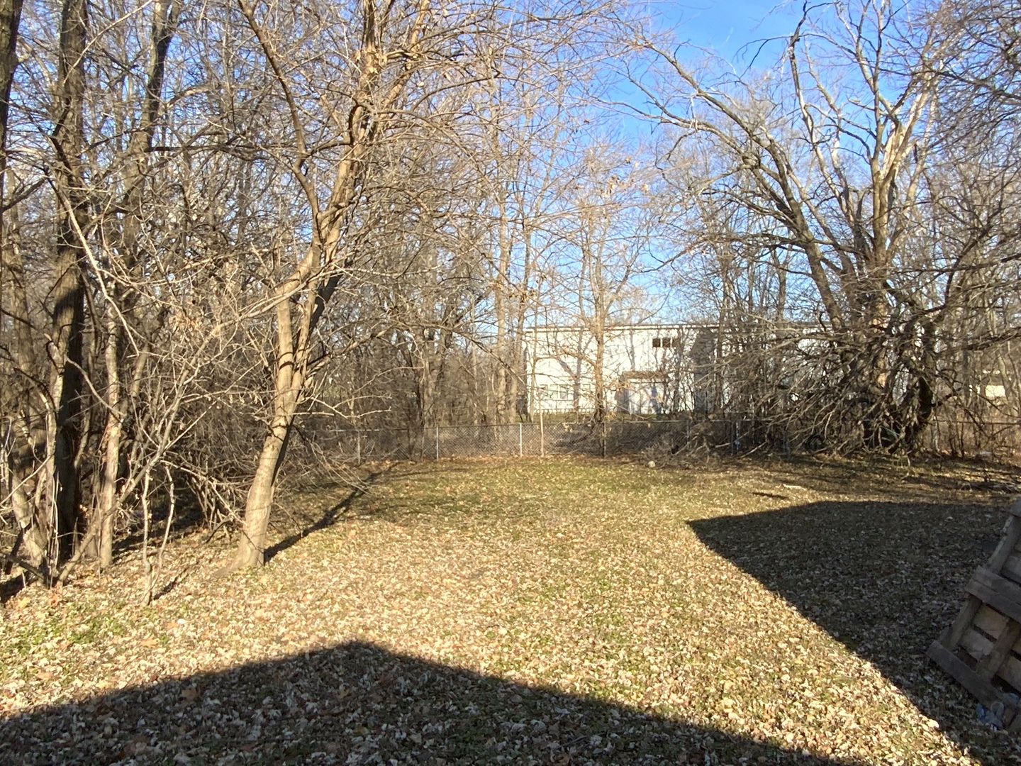 321 West Joe Orr Road Chicago Heights, IL 60411 - Photo 34 of 36 a view of yard with tree in it
