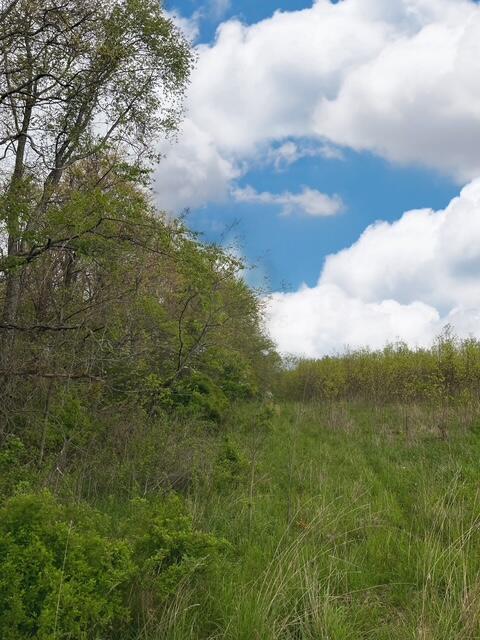 0 Revenge Road Southwest Lancaster, OH 43130 - Photo 2 of 7 28F8D861-2360-4782-B181-5468E7EE1F69