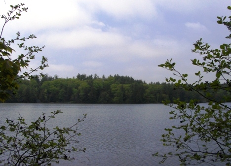 0 Gural Road South Sutton, NH 03273 - Photo 4 of 10