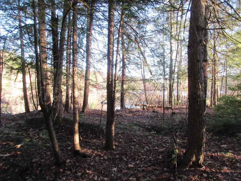 0 Gural Road South Sutton, NH 03273 - Photo 6 of 10