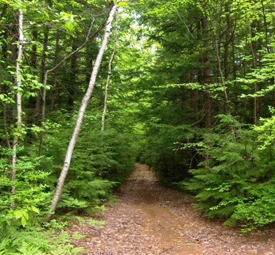 0 Gural Road South Sutton, NH 03273 - Photo 8 of 10