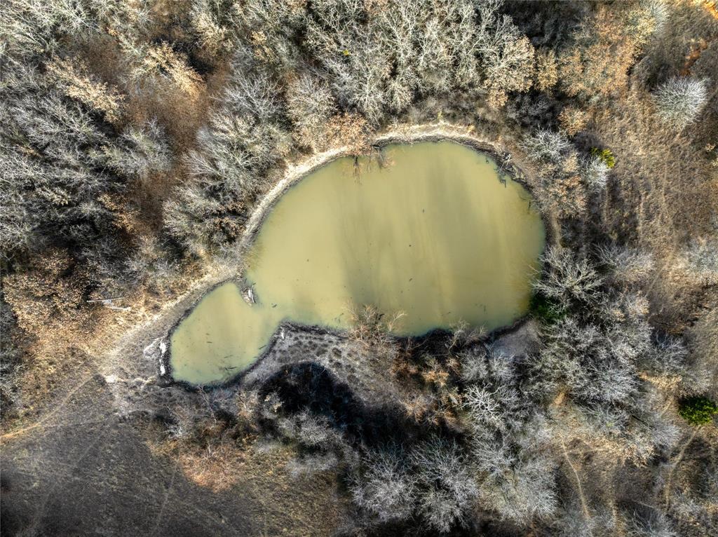 0 Turpin Lake Road Poolville, TX 76487 - Photo 10 of 18 a view of a backyard