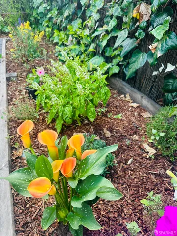 $1,395,000 | 1028 55th Street, Oakland, CA 94608