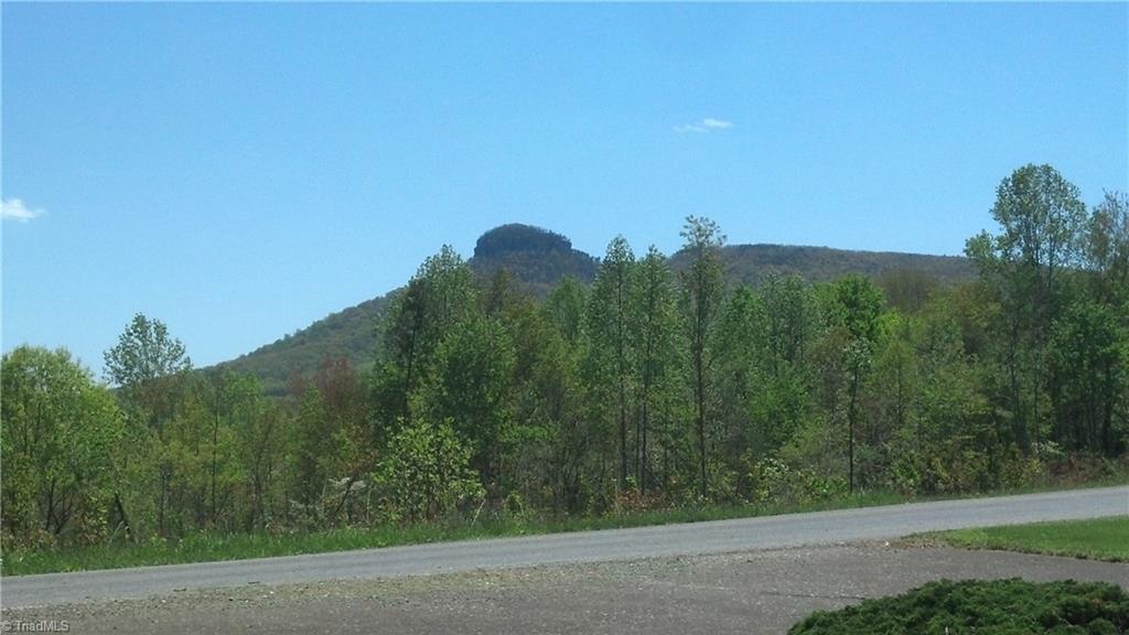 421 Golf Course Road Pilot Mountain, NC 27041 - Photo 2 of 25 Gallery Image 2