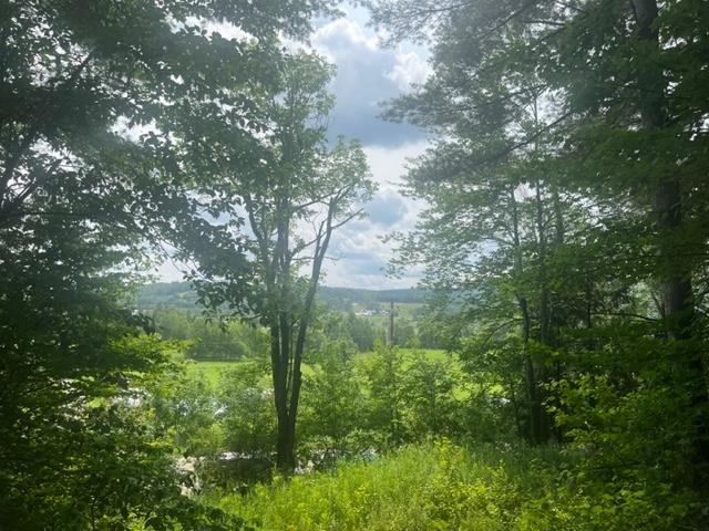 Black River Road Craftsbury, VT 05826 - Photo 1 of 8