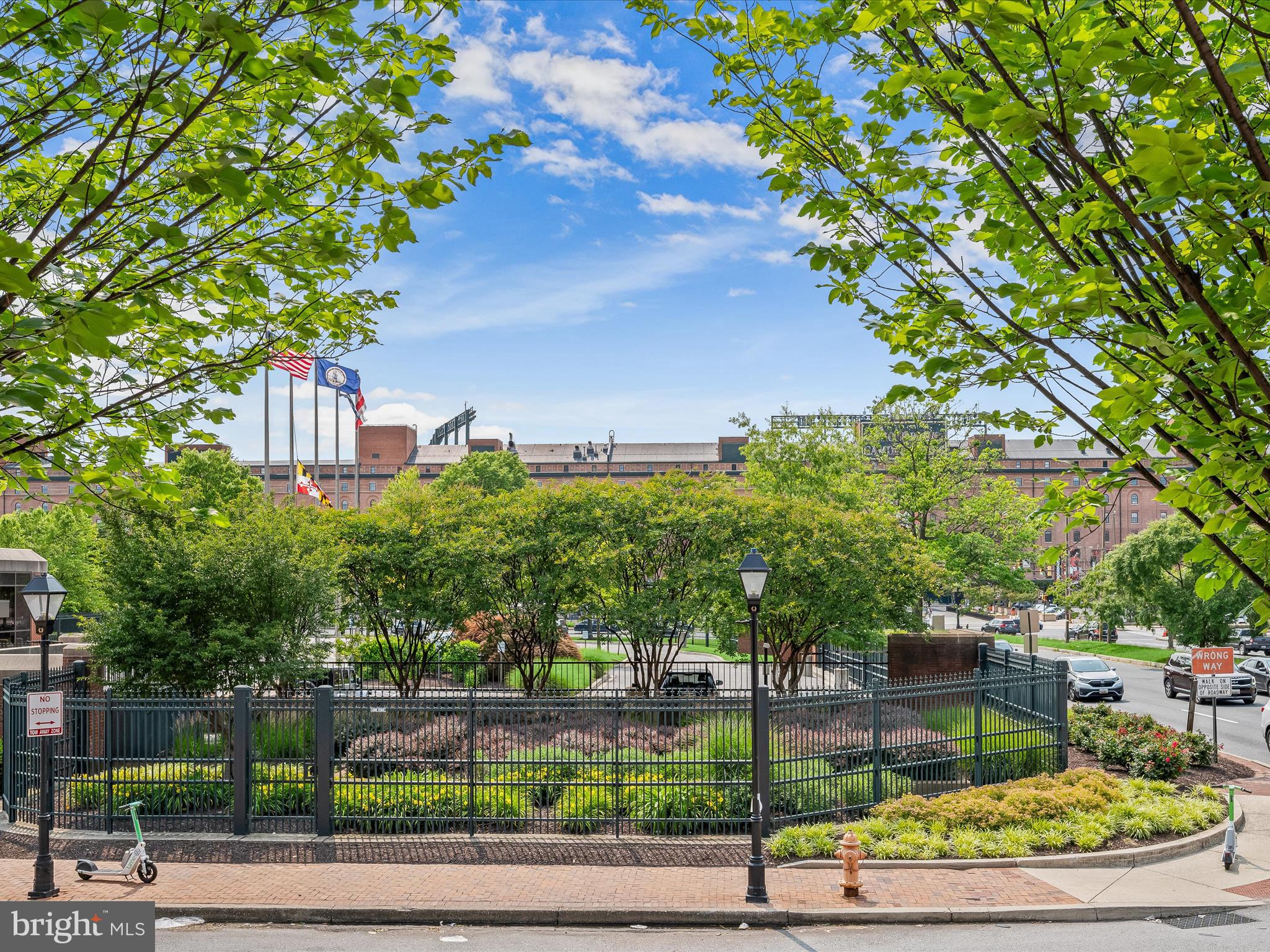 407 South Sharp Street, Unit R 6 Baltimore, MD 21201 - Photo 17 of 20 a view of a yard with plants and large trees
