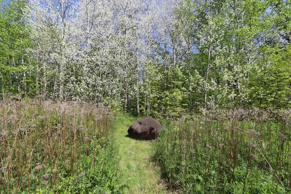 $47,900 | Lot 38 Eagle Run, Bayfield, WI 54814