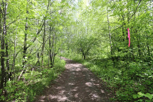 $49,900 | Lot 38 Eagle Run, Bayfield, WI 54814