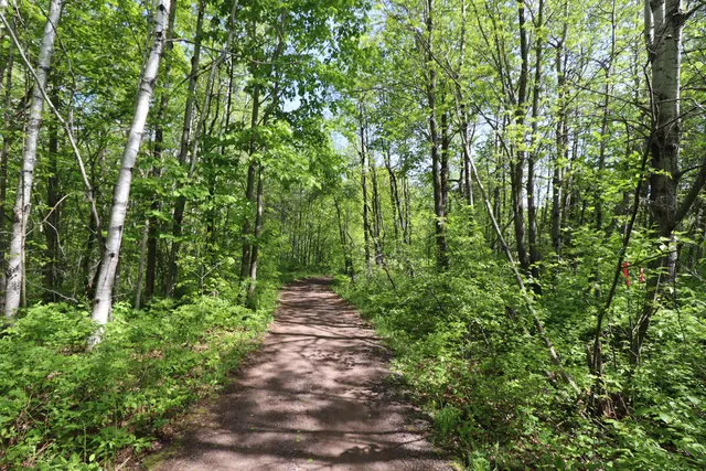$49,900 | Lot 38 Eagle Run, Bayfield, WI 54814