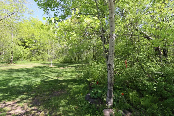 $47,900 | Lot 38 Eagle Run, Bayfield, WI 54814