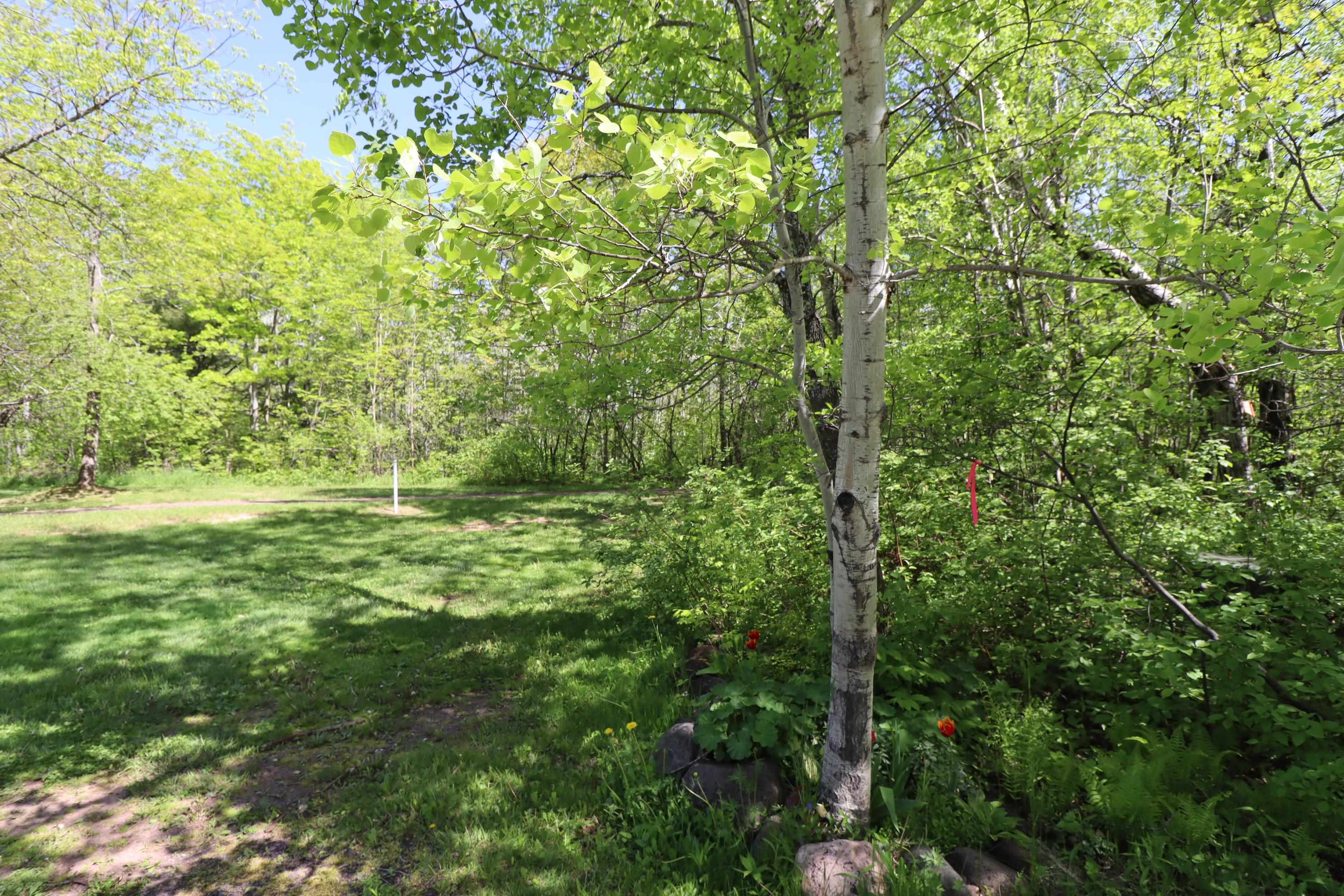 Lot 38 Eagle Run Bayfield, WI 54814 - Photo 8 of 35