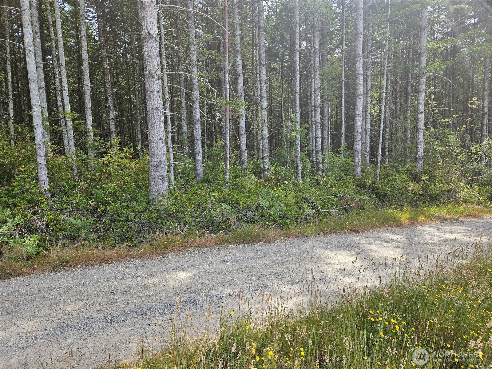 -nka L Lee Valley Road Quilcene, WA 98376 - Photo 3 of 10