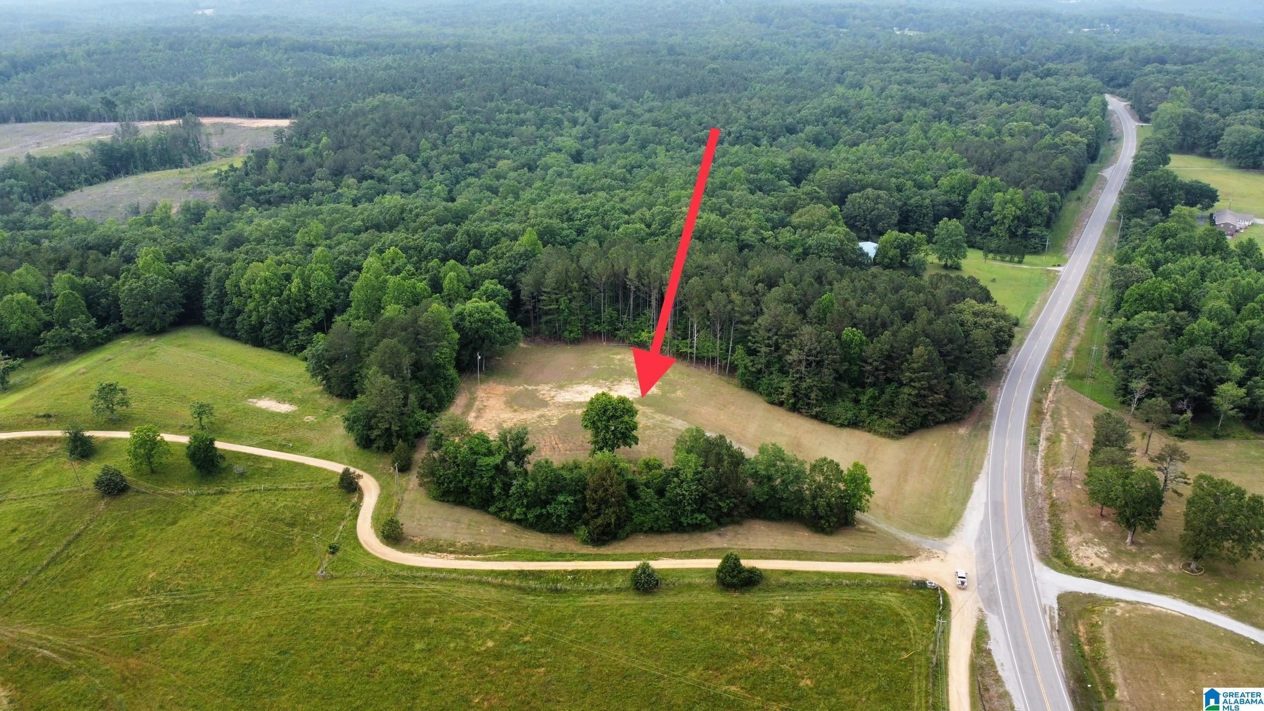 22909 Highway 195 Double Springs, AL 35553 - Photo 11 of 19