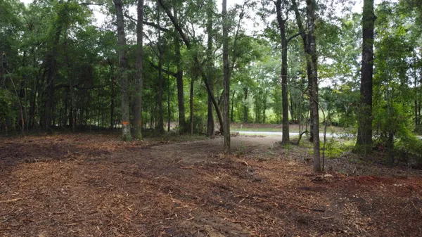 $69,000 | 6 Francis Marion Boulevard, Summerton, SC 29148